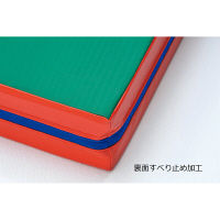 トーエイライト ジャンプ&スプリングマット3青 T1877B 1台