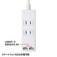 サンワサプライ　USB充電ポート付き便利タップ　ホワイト　2P式/2個口/2m/USB×2ポート(合計2.4A出力)　TAP-B101U-2W　1本（直送品）