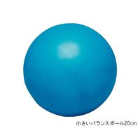 羽立工業 自立体力トレーニング基本セット 1組(5個入) NH5903 1組(5個) 7-2506-01（直送品）