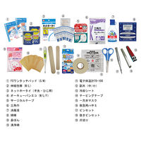 アズワン 救急用品スタンダードパックIIIセット アイボリー 7-5094-01 1セット（直送品）