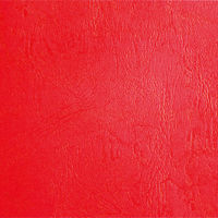 ナカバヤシ 証書ファイル　レザー　Ａ４　赤 FSL-A4R 1セット（10冊）