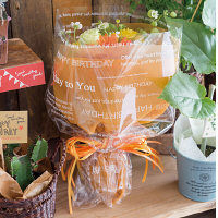 ヘッズ OPPロール/バースデイ-ホワイト BD-RO1 1セット（10巻：1巻×10パック）（直送品）