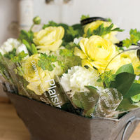 ヘッズ カフェオレラウンドシート-2 CAF-MR 1セット（300枚：100枚×3パック）