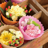 ヘッズ 不織布ダイカットシートピンク-2 FDP-SH2 1セット（250枚：50枚×5パック）（直送品）