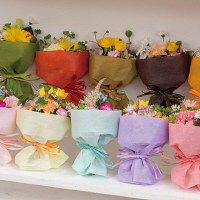 ヘッズ WRAPFLEXショート不織布ロール-モスグリーン WF-SR8 1セット（20巻：1巻×20パック）（直送品）