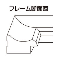 ナカバヤシ 樹脂製賞状額 金ラック B4 フ-KWP-16 1セット(10個)