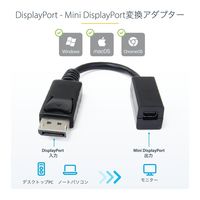 Startech.com 15cm DisplayPort - Mini DisplayPo DP2MDPMF6IN 1個