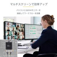 Startech.com 2ポートMSTハブ DisplayPort - 2x Displa MSTDP122DP 1個