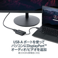 Startech.com USB - DisplayPortアダプタ 3.0対応 4 USB32DPES2 1個