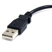 Startech.com 15cm micro USB2.0変換ケーブルアダプタ UUSBHAUB6IN 1個