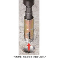 アネックスツール アネックス アンカー抜きビット W1/2×50mm AEBー450 1セット(3本)（直送品）