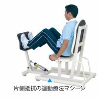 【軒先渡し】高田ベッド レッグプレス2 TB-1215 1台 24-2853-0010（直送品）