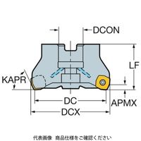 サンドビック 正面フライスコロミル RA365ー125J38ーS15M 1個（直送品）