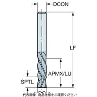 サンドビック ソリッドエンドミル 2P460ー0600ーNA1630 1本（直送品）