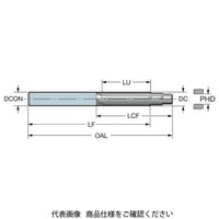 サンドビック コロドリル 452.Rー0635ー032A0ーCMH10F 1本（直送品）