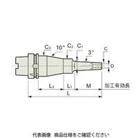 MSTコーポレーション スリムラインモノシリーズ A100-SLFB20-170-M42 1個（直送品）