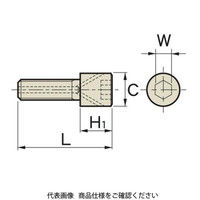 MSTコーポレーション 正面フライスアーバー用クランプボルト MBP-M10C 1個（直送品）