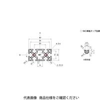 エヌアイシ・オートテック M4 ベーシックアルミフレーム 709mm AFSー2040ー4ー709 1セット(20本)（直送品）