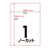 アスクル マルチプリンタラベル（粘着ラベル） 高白色・厚口タイプ ハイグレード ノーカット 20枚  オリジナル