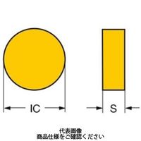 サンドビック TAチップ RNGN120700T025206190 1セット(10個)（直送品）