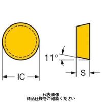 サンドビック TAチップ RPGN060300E6060 1セット(10個)（直送品）