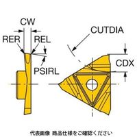 サンドビック TAコロカット突切り用チップ L123U3ー0100ー0500ーCS1125 1セット(10個)（直送品）