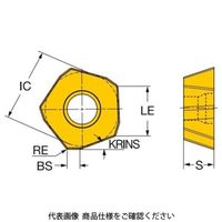 サンドビック TAミーリングチップ 419Rー1405EーMM1010 1セット(10個)（直送品）