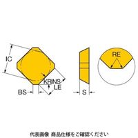 サンドビック TAミーリングチップ SEKN1204AZ3040 1セット(10個)（直送品）