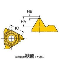 サンドビック TAミーリングチップ 266RGー16MM01A125M1125 1セット(10個)（直送品）