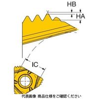 サンドビック TAミーリングチップ 266RGー16MM03A100M1125 1セット(10個)（直送品）