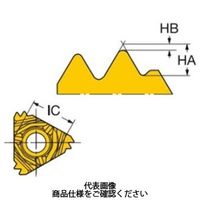 サンドビック TAミーリングチップ 266RLー16WH02A140M1125 1セット(10個)（直送品）