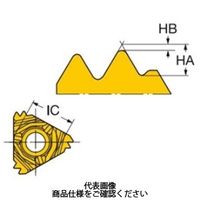 サンドビック TAミーリングチップ 266RLー22MM02A300E1020 1セット(10個)（直送品）