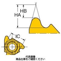 サンドビック TAミーリングチップ 266RLー22RN01A040M1020 1セット(10個)（直送品）