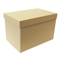 今村紙工 針金荷札 色布荷札 大 浅黄 1000枚箱入 NNL7（直送品）