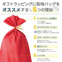 ヘッズ 梨地バッグピンク-XS EVP-BXS 1セット（2500枚：100枚×25パック）（直送品）