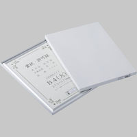 大仙 賞状額 オールライト B4(大) 箱入 J091C2901 1枚