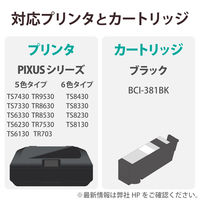 キヤノン（Canon）用 詰替えインク THC-381BK4 ブラック BCI-381対応 4回分 1個