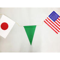 東京製旗　防水タイプ　連続万国旗10ヵ国+三角旗11枚　約10m　49622-sale　1セット