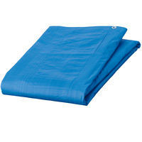 【ブルーシート】 アスクル 「現場のチカラ」 ブルーシート3000タイプ厚手 4.5×5.4m 27BA4554 1枚 オリジナル