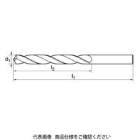グーリングジャパン ハイスストレートドリル Fコート 2456ー9.5 1セット(10本)（直送品）