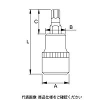 JTC 差込12.7mmスタービットソケットT25 JTC45525 1個（直送品）
