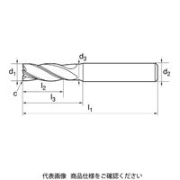 グーリングジャパン 超硬エンドミル #3893ー6 1本（直送品）