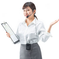 サンワサプライ ワイヤレスヘッドマイク(MM-SPAMP4/7用) MM-SPAMP4WHS 1個