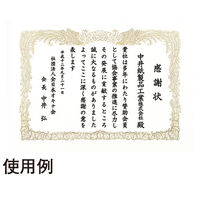 オキナ OA対応賞状用紙 SX-B4 B4縦書 1セット(1袋(10枚)×2)（直送品）