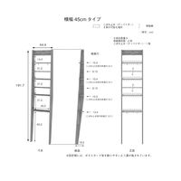 白井産業 トイコス ビンテージ調壁掛けディスプレイラック（壁固定式） ブラウン 幅444×奥行182×高さ1917mm 1台（直送品）