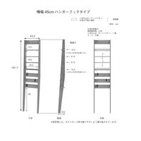 白井産業 トイコス 壁掛けディスプレイラック（壁固定式） ラダータイプ 白木目 幅444×奥行182×高さ1917mm（直送品）
