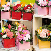 ヘッズ ベーシックキューブPPカップ-ブラック（200枚） BAB-PBM 1セット（200枚：20枚×10パック）（直送品）