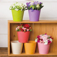 ヘッズ BKFポット/ピンク-3  BKF-POP3 1セット（30個：10個×3パック）（直送品）