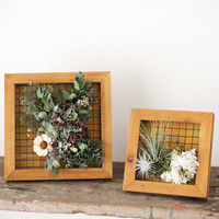 ヘッズ ディスプレイワイヤーウッドフレーム-1  DIP-WWF1 1セット（4個：2個×2パック）（直送品）