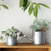 ヘッズ デイリーワークスブリキポット/ジョーロ-S  DW-BJOS 1セット（8個：4個×2パック）（直送品）